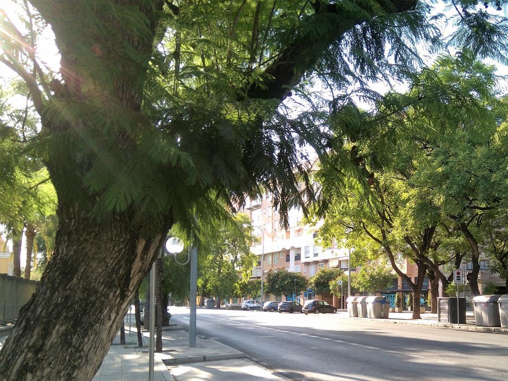 Apartamento Buhaira Seville Exterior photo